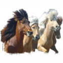 Icelandic Horses bag