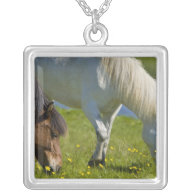 Icelandic Horses in western Iceland. Custom Jewelry