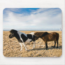 Icelandic Horses mousepads
