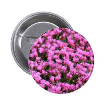 Iceplant buttons