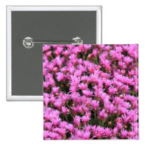 Iceplant buttons