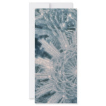 Icey stars rack cards