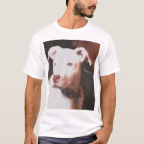 icey t-shirts by seeblock icey t-shirts
