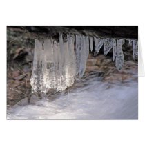 Icicle Dance cards