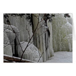 Icicle Falls Cards