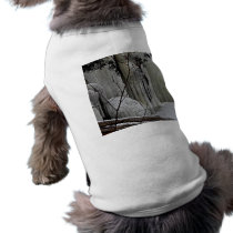 Icicle Falls Dog Clothes