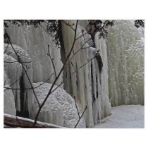 Icicle Falls Personalized Flyer