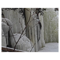 Icicle Falls Letterhead Template