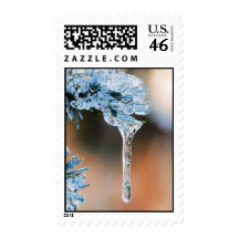 Icicle Pine Postage