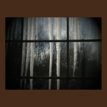 Icicle Window canvas print posters