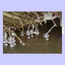 Icicles cards