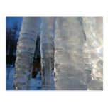 Icicles Postcard