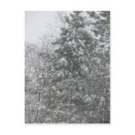 Icing Post Card