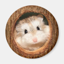 Ickle 'Peek a Boo!' Magnet