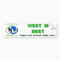 ICRSC Car Sticker_1 bumper stickers
