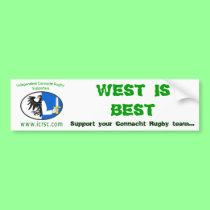 ICRSC Car Sticker_1 bumper stickers