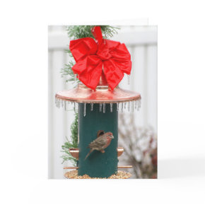 Icy Bird Feeder with Bird card