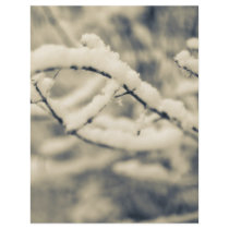 Icy Branches flyers