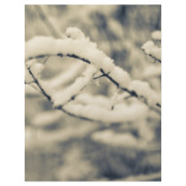 Icy Branches letterhead