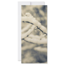 Icy Branches rack cards