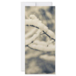Icy Branches Rack Cards