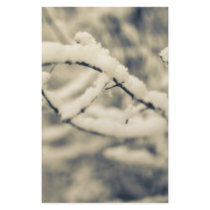 Icy Branches stationery