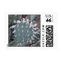 Icy Cactus postage