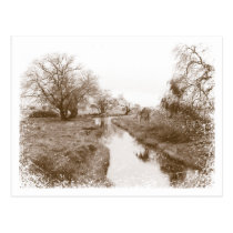 Icy Cold River Postcard postcards