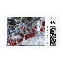Icy Crabapples postage