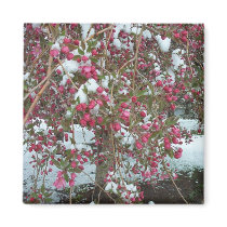 Icy flowers. magnets