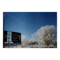 Icy Morning posters