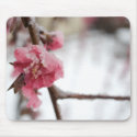 Icy Pink Flowers mousepads