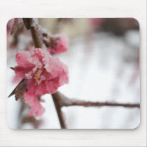 Icy Pink Flowers mousepads