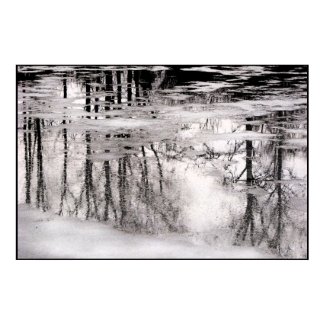 Icy Pond Reflections print