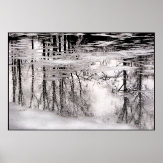 Icy Pond Reflections print