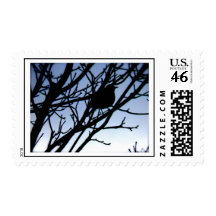 Icy Robin Postage Stamps