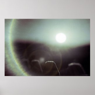 Icy Sun by Alexandra Cook print
