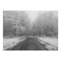 Icy Tree-Lined Road posters by emonemo1023 Icy Tree-Lined Road posters