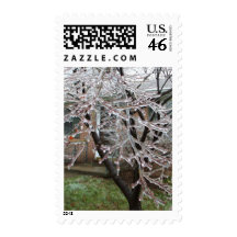 Icy tree stamp