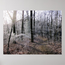 Icy Trees Poster