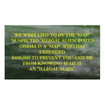 icyblends4, WE WERE LIED TO BY THE "SIAP""SUSPE... business cards by jenniekurono icyblends4, WE WERE LIED TO BY THE "SIAP""SUSPE... business cards