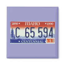 ID91 magnets