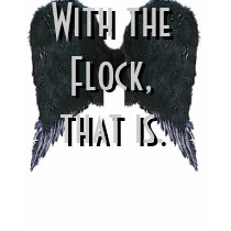 I'd Die to Fly t-shirts