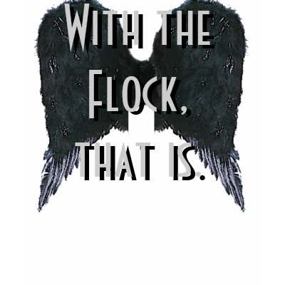 I'd Die to Fly Tshirt by Moyren