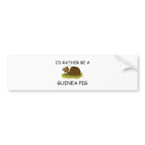 I'd Rather Be A Guinea Pig bumper stickers by AnimalShirts I'd Rather Be A Guinea Pig bumper stickers