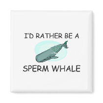 I'd Rather Be A Sperm Whale magnets