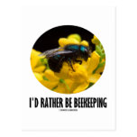 I'd Rather Be Beekeeping (Bee On Barberry Flower) Postcards