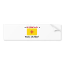 I'd Rather Be In NEW MEXICO bumper stickers