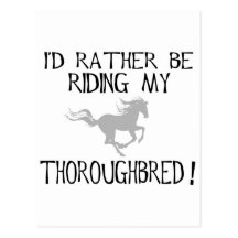 I'd Rather Be Riding My Thoroughbred Post Cards
