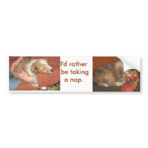 I'd rather be t.aking a nap bumper sticker bumper stickers by Animalistic I'd rather be t.aking a nap bumper sticker bumper stickers